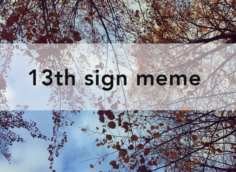 13th Sign Meme