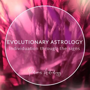 Individuation Through the Signs
